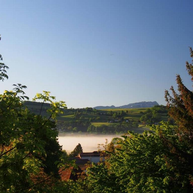 Le Merle Enchanteur - Appartement 1 Chambre - 3