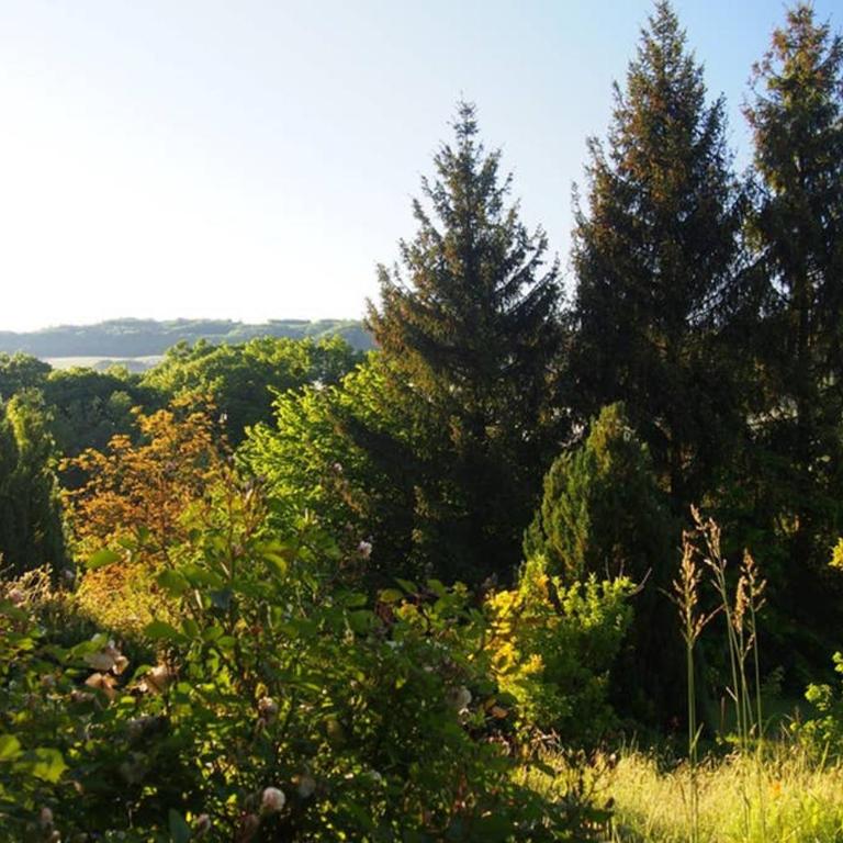 Le Merle Enchanteur - Appartement 1 Chambre - 6