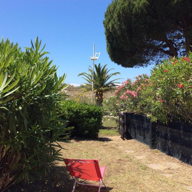Le serpent de mer - Studio-Apartment - 2