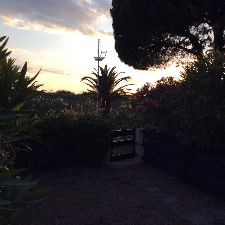Le serpent de mer - Studio-Apartment - 3