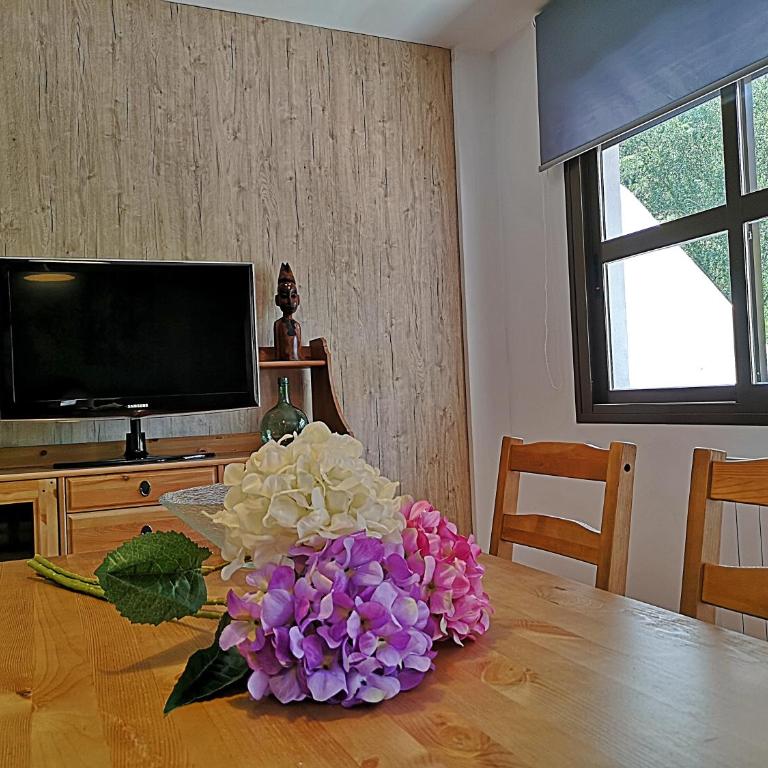Salvatierra - Apartamento - 9