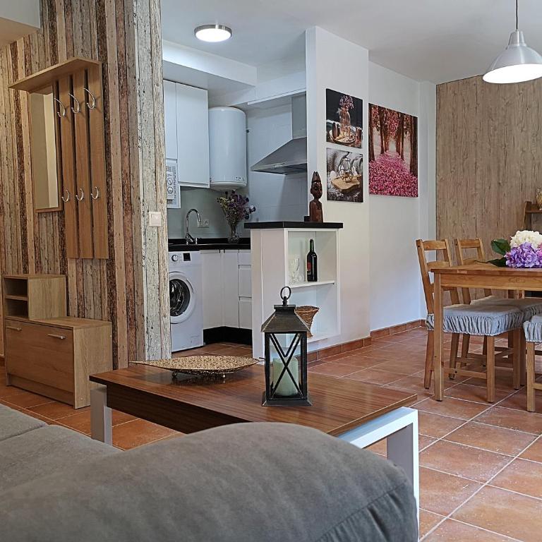 Salvatierra - Apartamento - 21