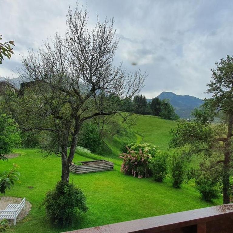 Berghof Reiter - Studio mit Gartenblick - 2