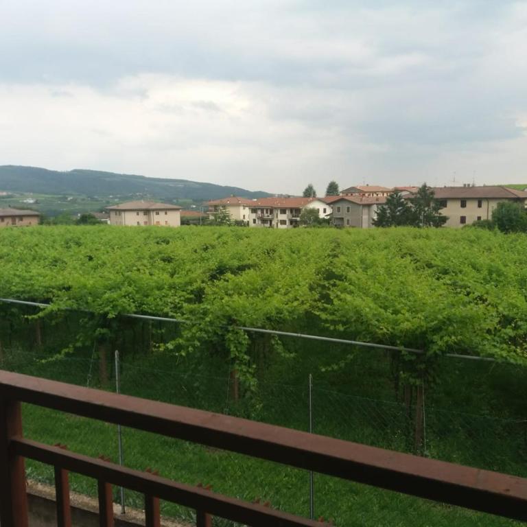 Mary House - Appartamento con 2 Camere da Letto - 3