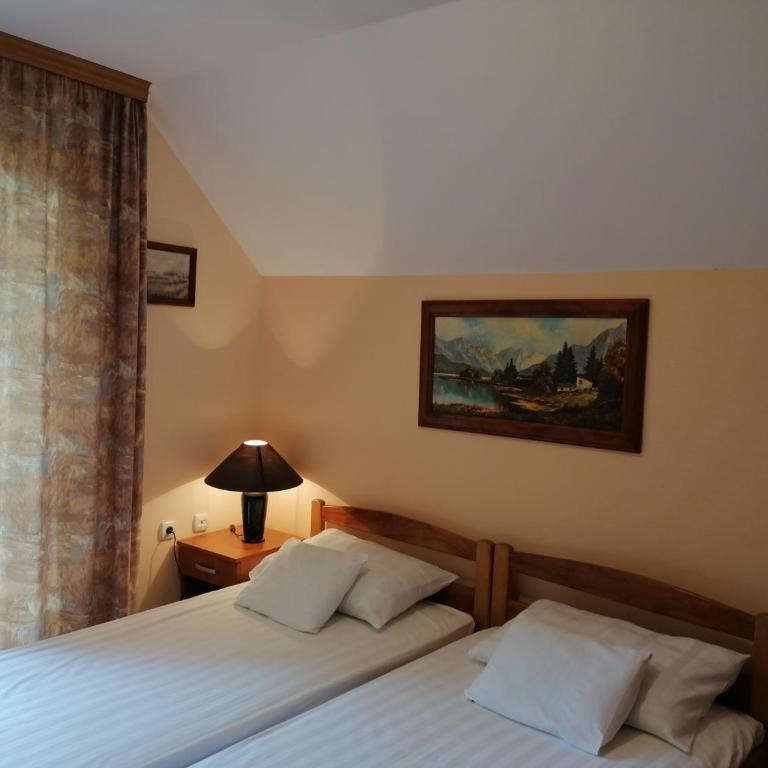 Vila Milija - Apartman sa 2 Spavaće Sobe - 17