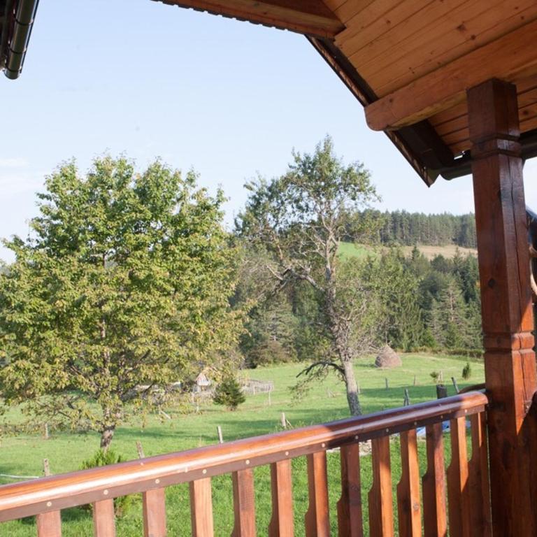 Vila Milija - Apartman sa 1 Spavaćom Sobom - 20