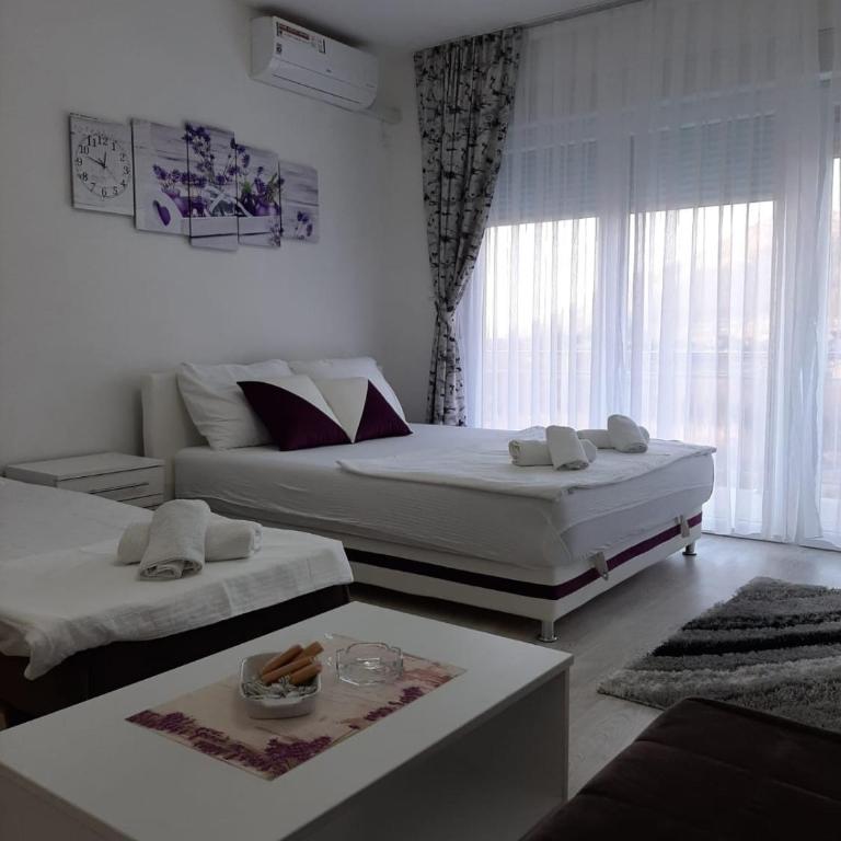 Apartmani Pantovic - Apartman 3 - Apartman sa 1 Spavaćom Sobom - 4
