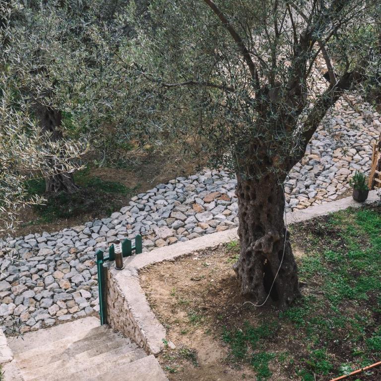 Cottage Four Olives - One-Bedroom House - 26