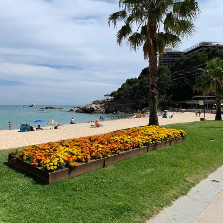 Apartamento en Torre Valentina, la mejor playa! - Three-Bedroom Apartment - 1