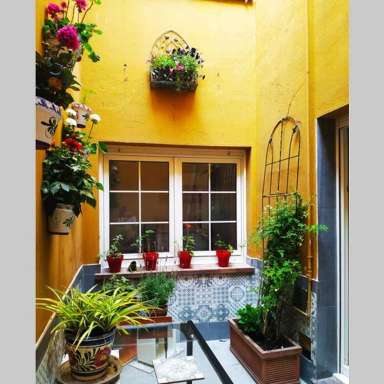 Apartamento en Cimadevilla junto al Puerto Deportivo - Apartamento de 1 dormitorio - 33