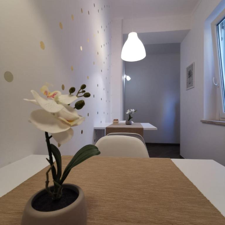 Sea fly guest house - Camera Matrimoniale - 5