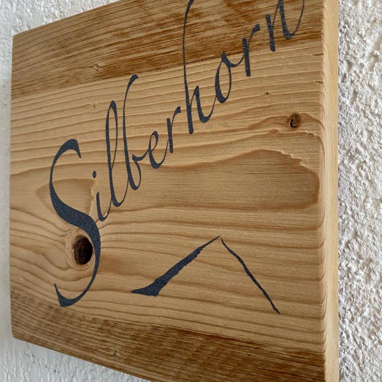 Silberhorn - Penthouse-Apartment - 37