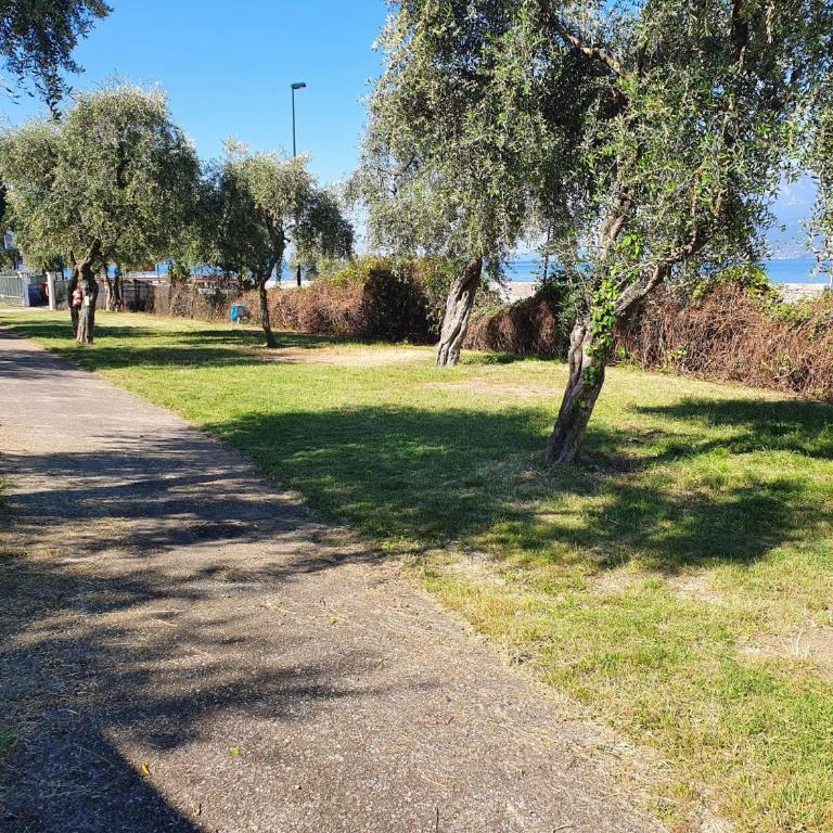 Camping Antonio - Parcela - 8