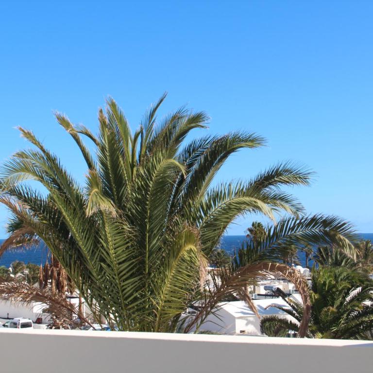 Playa Roca penthouse. Great sea views! - Apartamento - 4