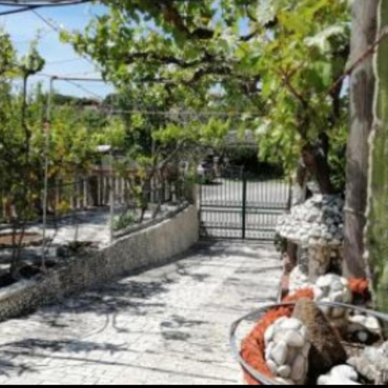 casa dei limoni - Appartamento con 2 Camere da Letto - 11