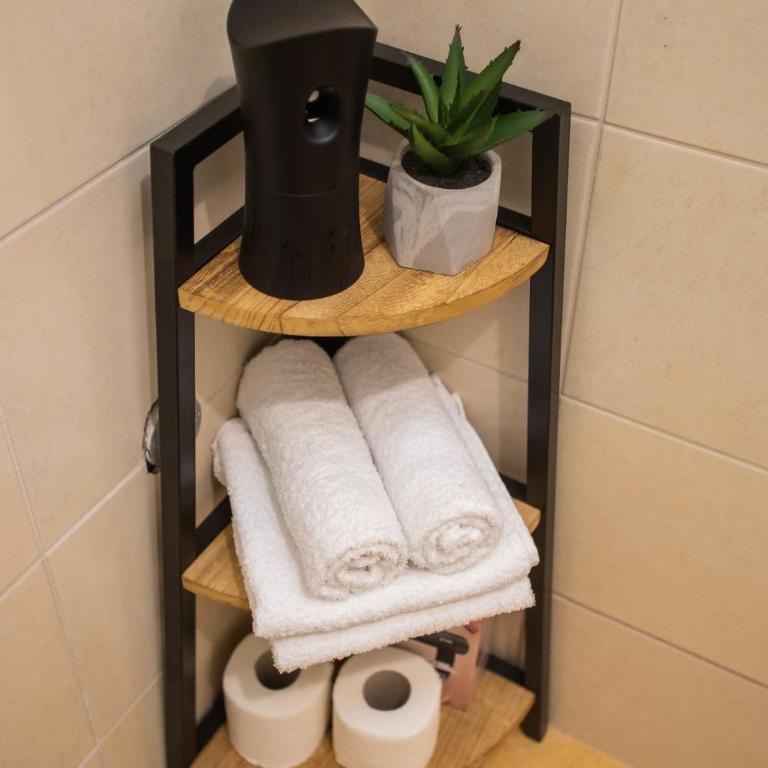 Apartment Podgorica - Apartman sa 1 Spavaćom Sobom - 23