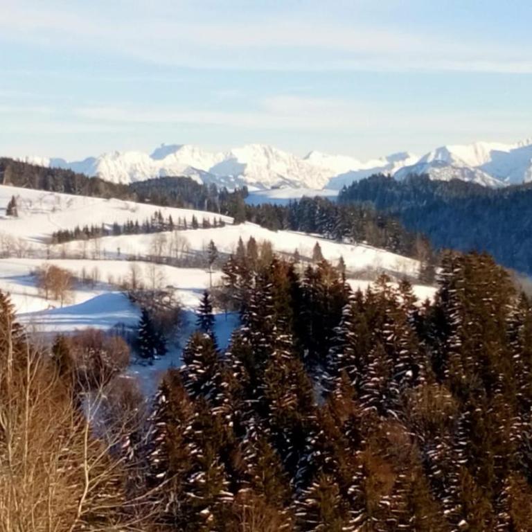 Ferienwohnung Stroh - Apartment with Mountain View - 6