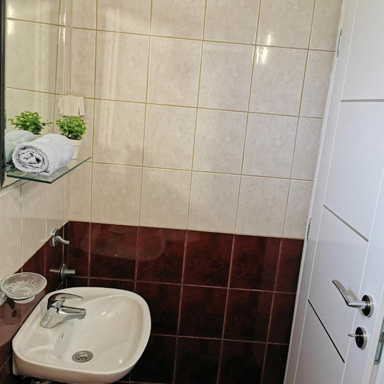 Apartments Popovic - Studio with Mountain View - 7
