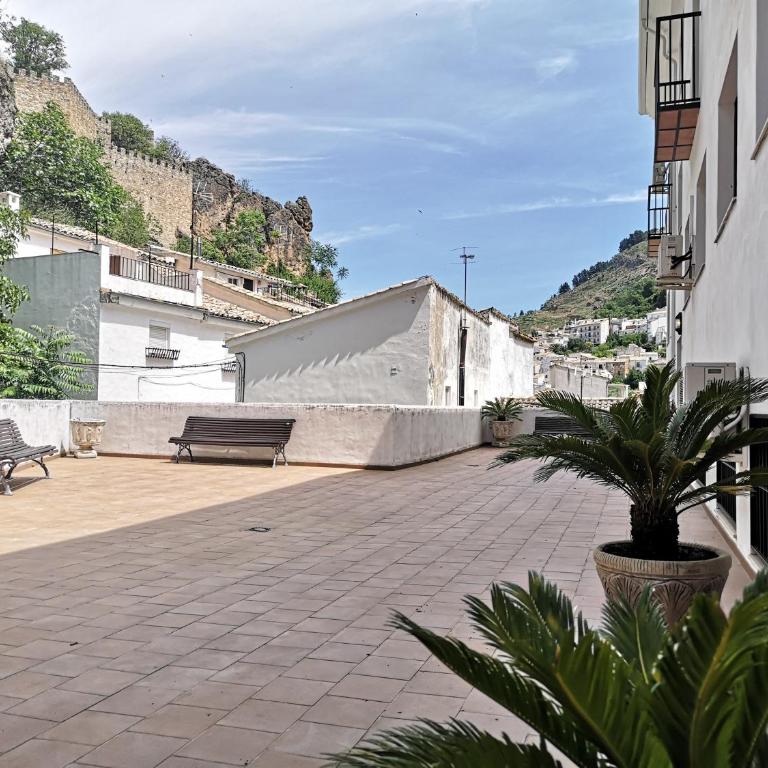 Salvatierra - Apartamento - 43