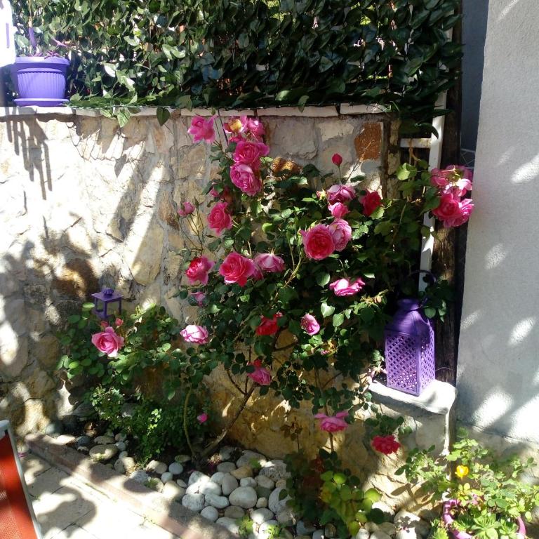 Apartman Miletic - Two-Bedroom Apartment - 34