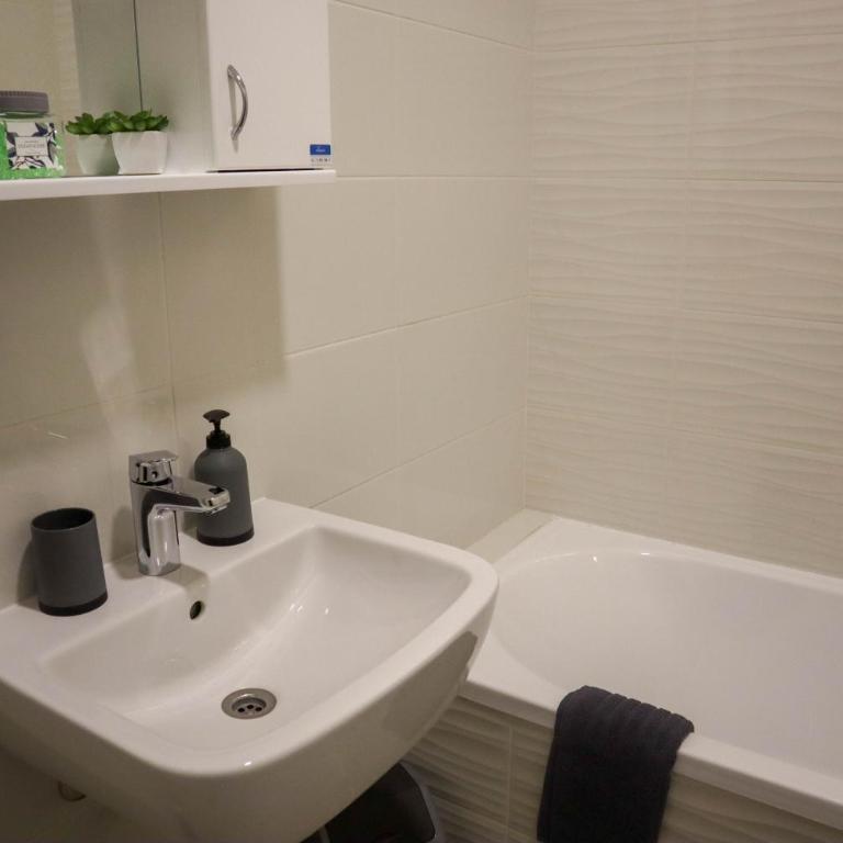King's park apartment - Apartman sa 1 Spavaćom Sobom - 11