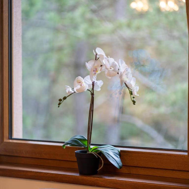 Apartman Gačanović Lux - Dupleks Apartman - 12