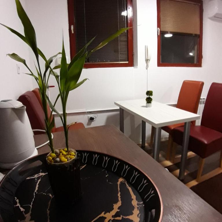 Cumurija Bridge Accommodation - Studio sa Pogledom na Planinu - 13