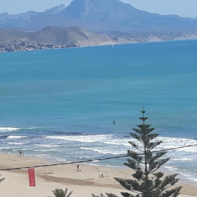 Exclusif Appartement en 1er Ligne, Vue Imprenable, Piscine, Parking Privé à Playa Mucha Vista, Alicante - Apartamento de 2 dormitorios - 51