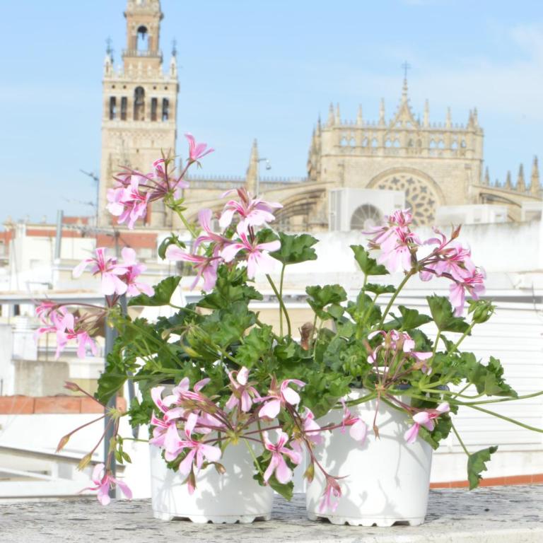 HomeySeville-Amazing Penthouse Giralda Views 8 pax, Parking Optional - Apartamento - 95