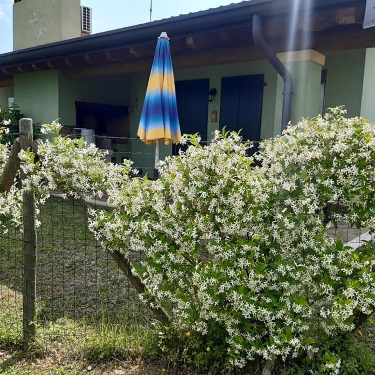 Agriturismo Lizzarola - Appartamento con 1 Camera da Letto - 5