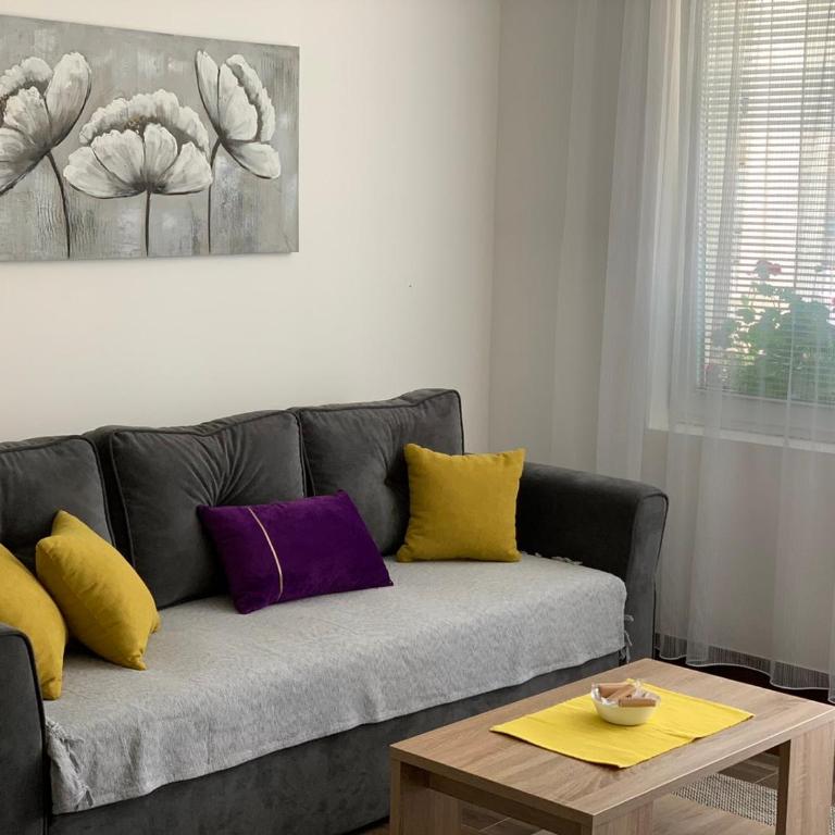 MIKABEL Sokobanja - Studio Apartman - 10