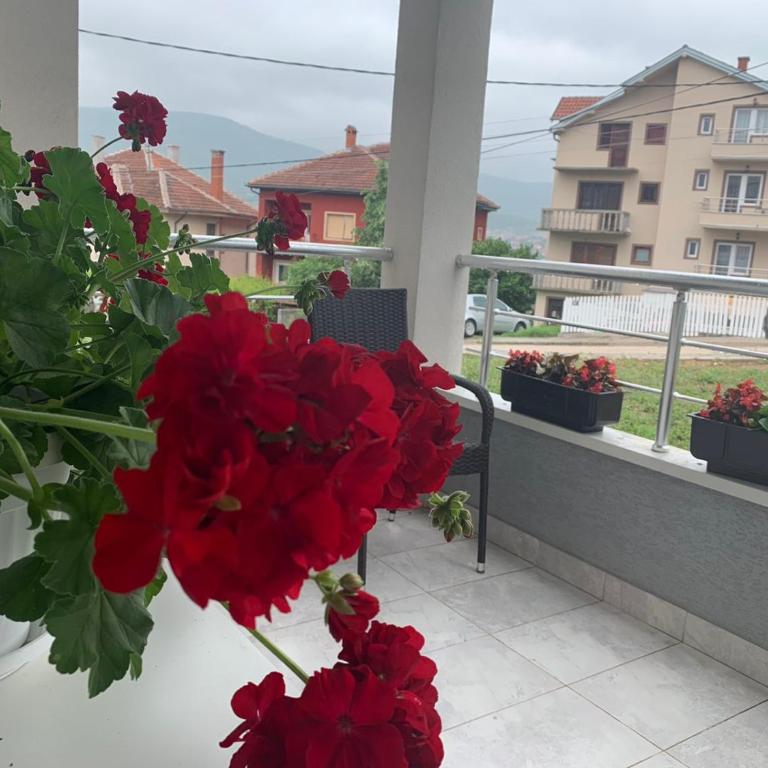 MIKABEL Sokobanja - Studio Apartman - 14
