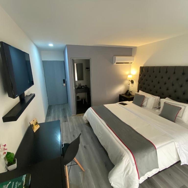Suites Arboleda 215 - Habitación Superior - 4