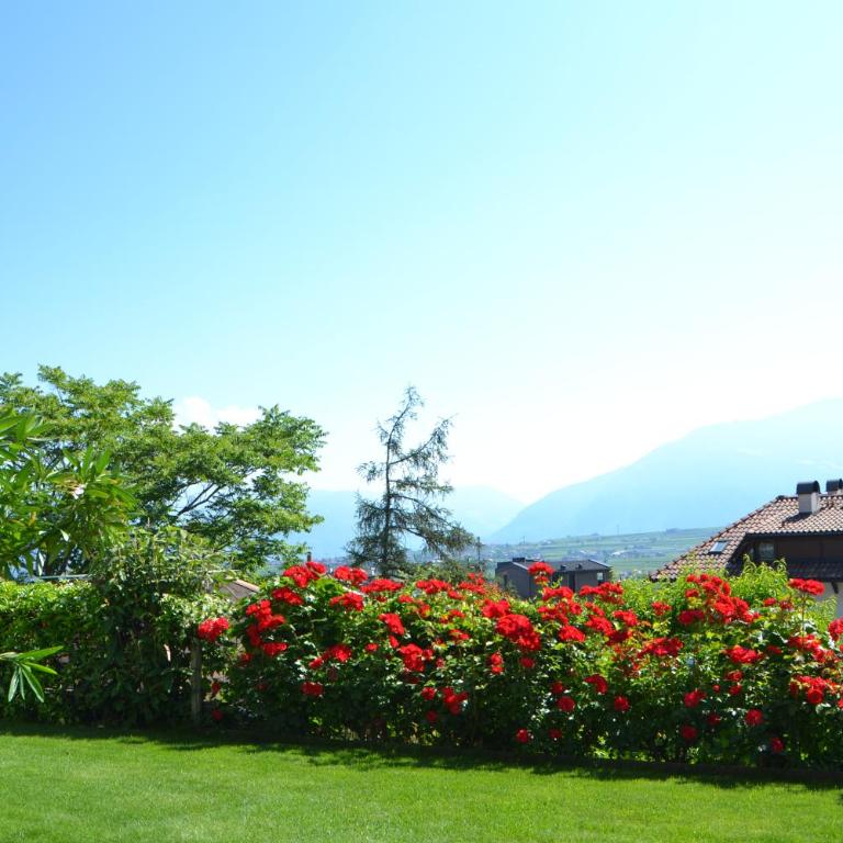 Haus Marion - Appartamento con Vista Montagna - 21