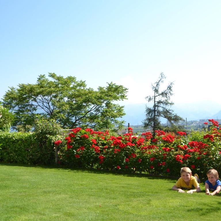 Haus Marion - Appartamento con Vista Montagna - 13