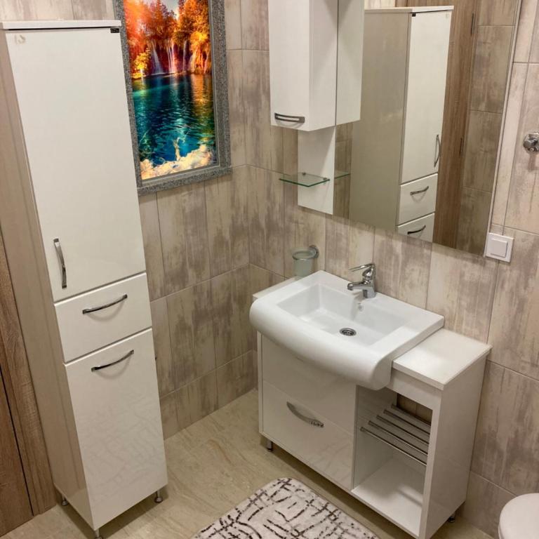 ApartBrajovic67 - Superior Apartment - 7