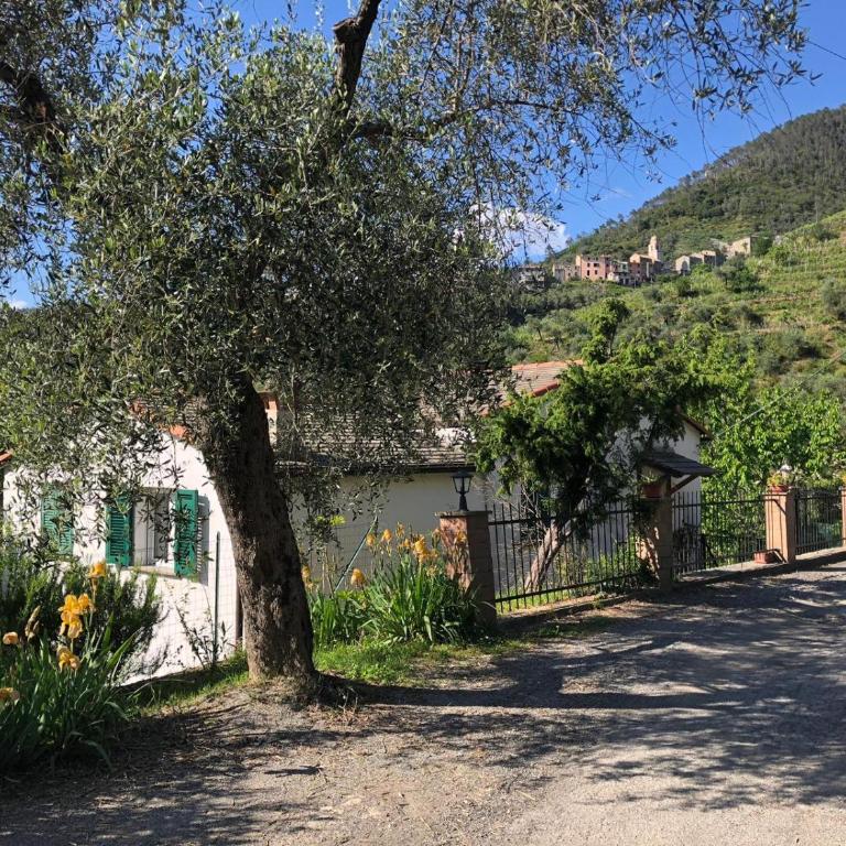 Dolcevia - Appartamento - 28