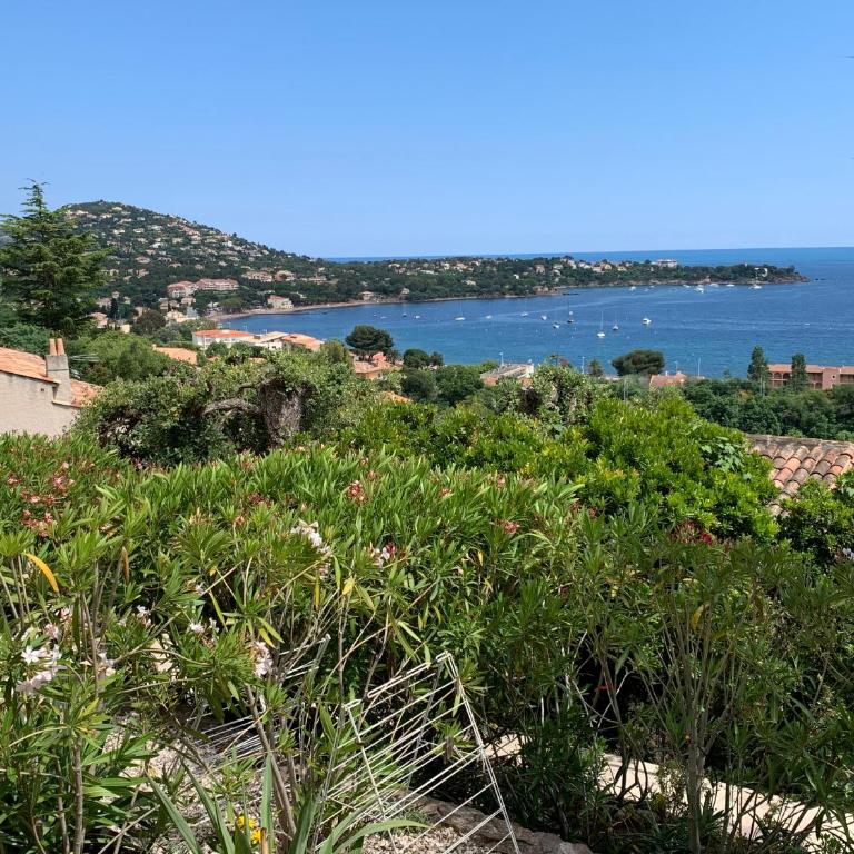 Villa Grand Baie - Studio "Olivier" with Sea View - 12
