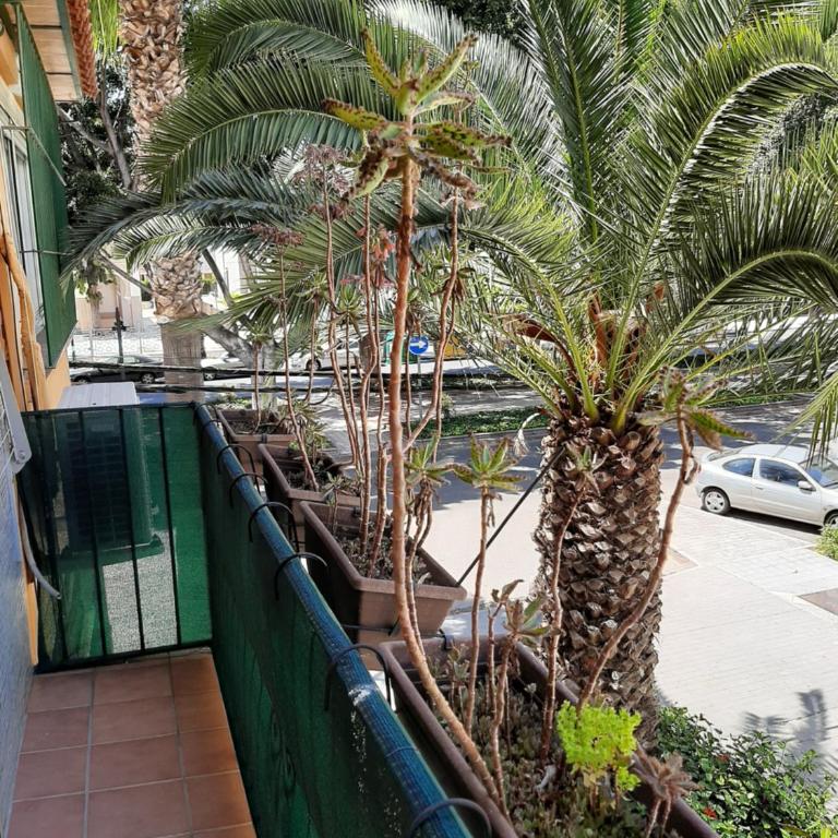 New Apartment & Parking Alcazaba - Room 3 with Balcony - 4