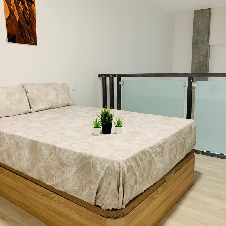 NUEVOS DUPLEX PRINCIPE VERGARA - Deluxe Loft - 19