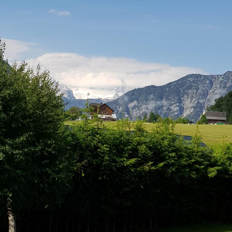 Apartment Dachsteinblick - Apartment mit Blick auf die Berge - 28