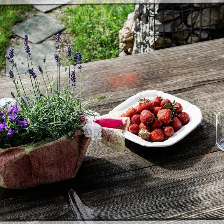 Das Haus am Grundlsee - Your Austrian Home - Casa - 21