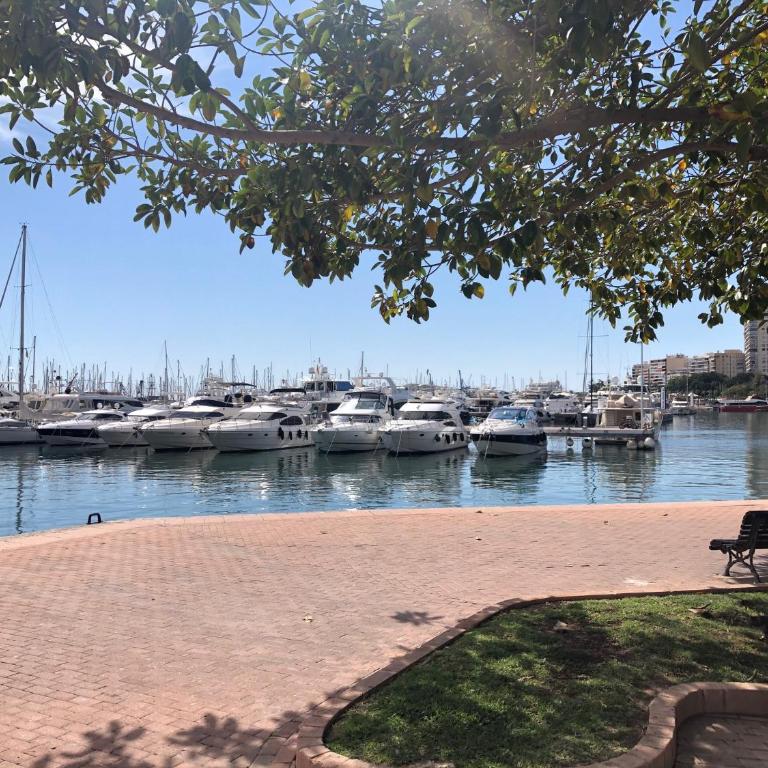 Enclave Paseito - Postiguet - Three-Bedroom Apartment - 23