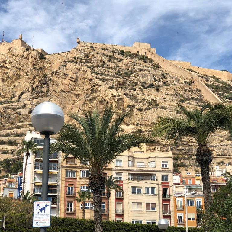 Enclave Paseito - Postiguet - Three-Bedroom Apartment - 19
