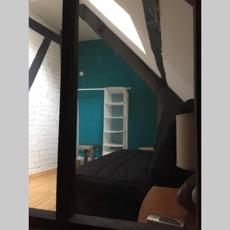 T3 duplex industriel hyper centre ville historique - Apartamento de 2 dormitorios - 12