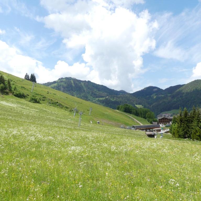 Ty Menez 2 - Chalet sur les pistes - Chalet - 12