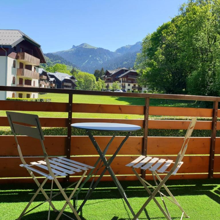 Le 211,ski et randonnée, WIFI, lave linge , ascenceur,parking gratuit - Studio - Vue sur Montagne - 9
