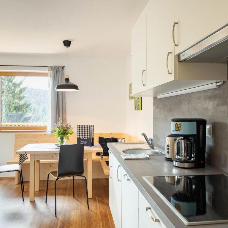 Spitalerhof Apartment & Sauna - Appartement 1 Chambre - 2