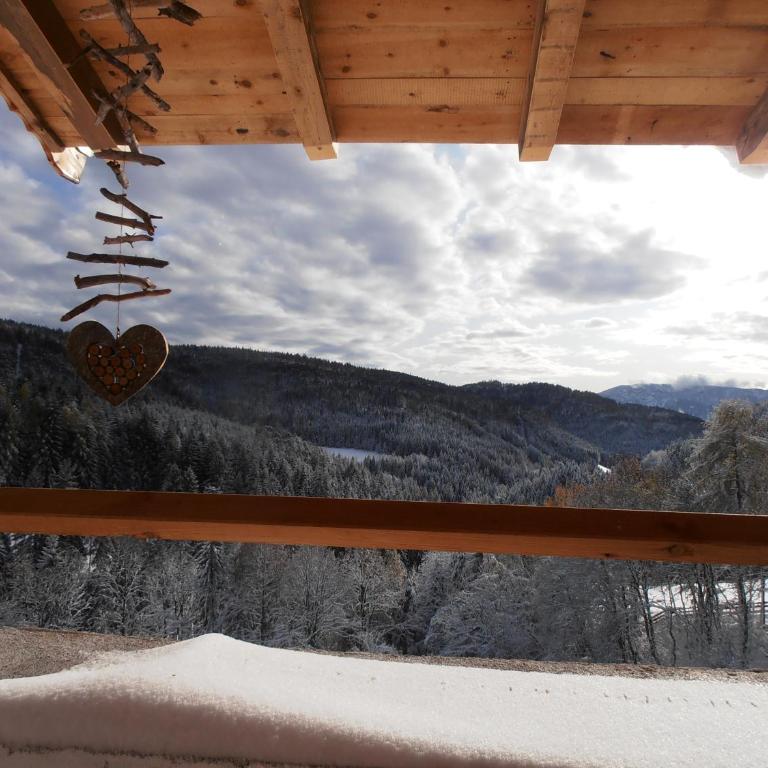 Spitalerhof Apartment & Sauna - Appartement 1 Chambre - 12