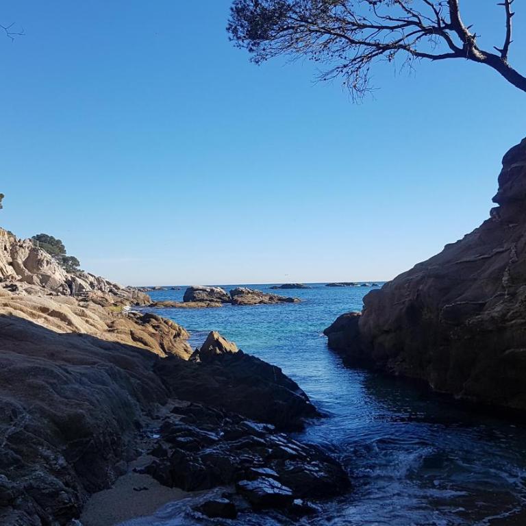 APARTAMENTO JUNTO AL MAR CON JARDIN COMUNITARIO Y PARKING - Apartamento de 2 dormitorios - 27